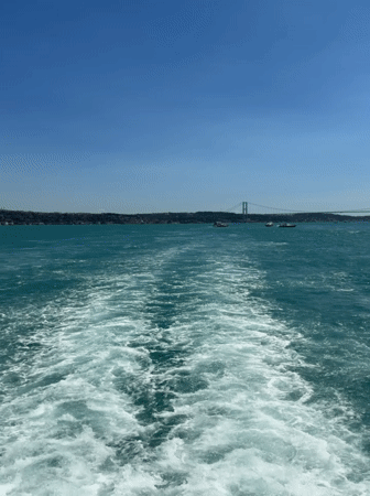 Boat tour of Beşiktaş harbor and historic Istanbul waterfront