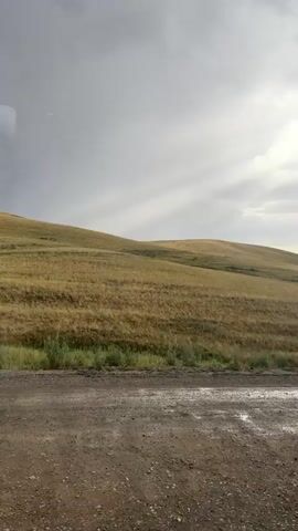 The video shows a view from inside a vehicle, looking out at a rural landscape. The road in front is muddy and appears to have puddles. To the right of the road, there are rolling hills covered in dry, golden grass, suggesting a dry season. The sky is overcast with dramatic clouds, with patches of sunlight breaking through. In the distance, on the left side of the frame, there are a few dark-colored animals, possibly cattle or horses, grazing in the field. The overall impression is one of a vast, open, and somewhat wild natural environment.