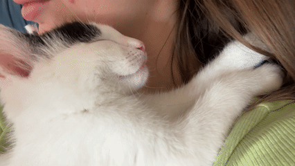 Woman holds sleeping kitten in Łódź, Poland
