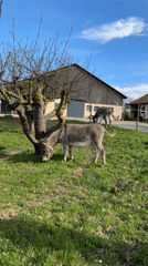 Quiet countryside moments captured along waterfront and vineyard areas