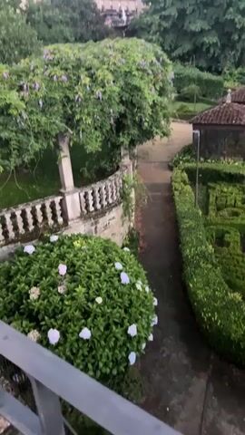 The video shows a garden with manicured hedges forming a maze-like pattern. There are two small, tiled-roof structures in the background, and a pathway winding through the garden. To the left, a balustrade with ornate railings overlooks a flowering bush with white and light blue blooms. A large tree with purple flowers is also visible to the left, and beyond that, a building. To the right, a weeping willow tree stands beside a body of water, with benches along the path. The lighting suggests it is either early morning or late evening.