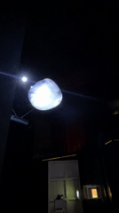 Anonymous witness documents Barcelona art installations and residential scenes