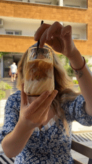 Morning coffee stop at Two Coffee Club, Budva