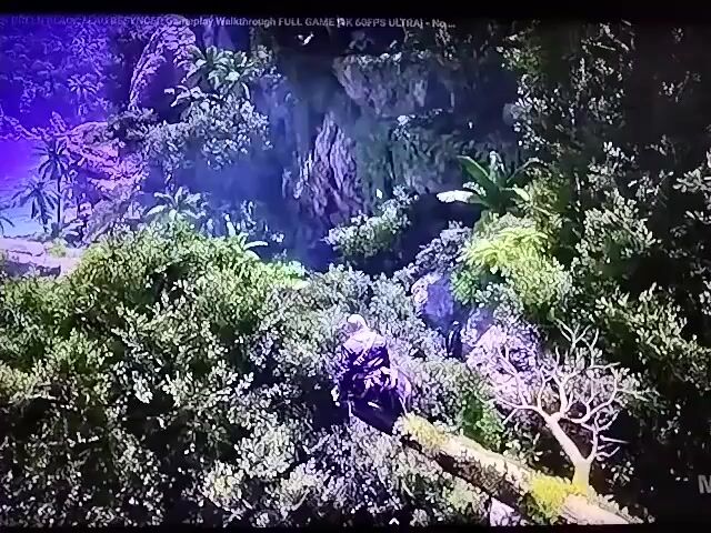 A third-person perspective video shows a person in a purple outfit with their back to the camera, perched on a tree branch overlooking a tropical bay. The bay is clear blue water with a sailboat docked in the distance and a sandy beach. Lush green foliage surrounds the scene with rocky cliffs in the background. The video appears to be a gameplay walkthrough of a video game.