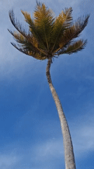 Peaceful beach moments documented in Porlamar, Venezuela