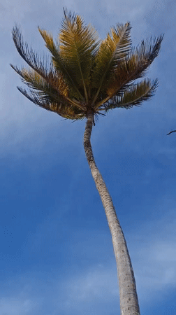 Peaceful beach moments documented in Porlamar, Venezuela