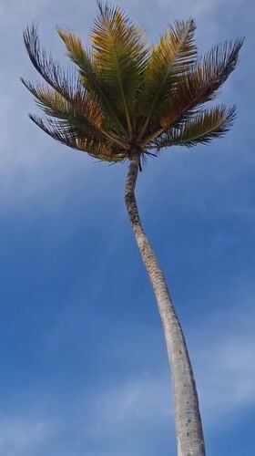 Peaceful beach moments documented in Porlamar, Venezuela