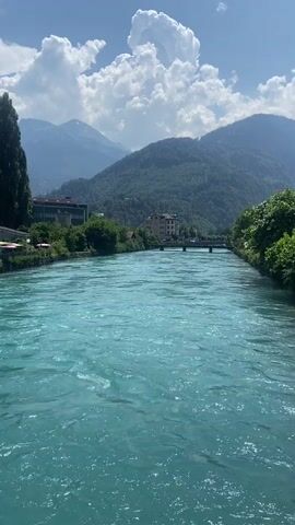 This is a vertical video of a wide, turquoise river flowing through a valley. On the left bank, there are buildings and trees, with a prominent tall, dark tree in the foreground. On the right bank, lush green trees line the river. In the distance, a bridge crosses the river, and beyond that, a town with buildings is nestled amongst rolling, tree-covered hills. Further in the background, majestic mountains rise, their peaks shrouded in haze. The sky is a bright blue with dramatic, fluffy white clouds, suggesting a sunny day. The time of day appears to be daytime, likely midday or afternoon, due to the bright sunlight and the shadows cast. The scene conveys a sense of natural beauty and tranquility. There is no visible text in the video. The location is identified as Unterseen, Switzerland.