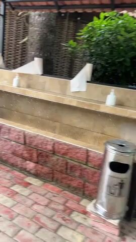 The video pans across an outdoor setting that appears to be a public restroom area. The ground is paved with red and gray bricks, and there is a stone wall constructed from large, reddish-brown bricks. Above this wall is a tiled counter with a soap dispenser and rolls of toilet paper. A tree trunk is visible behind the counter. To the left, a metal trash can with a "male" symbol is positioned near a rustic, woven structure that seems to be part of a building or gazebo. This structure has a wooden roof and woven walls, with decorative gourds and garlic hanging from it. Chairs and a table are visible through the woven entrance. The scene suggests an outdoor eating or relaxation area adjacent to restrooms, possibly at a cafe or restaurant in a warm climate, given the lush greenery and open-air design. The lighting indicates it is daytime. There is no clear indication of the weather, but the setting implies pleasant conditions. The overall atmosphere is casual and functional, with a touch of rustic charm.