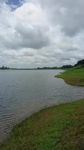 The video shows a wide shot of a lake on a cloudy day. The water is rippled, and the shoreline in the foreground is covered in grass. In the distance, there is a line of trees and hills. The sky is filled with white, fluffy clouds.