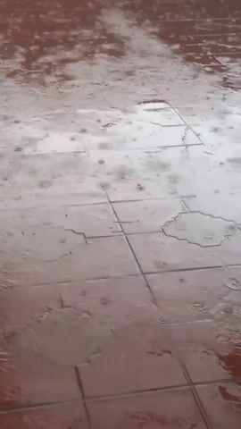 The video shows a tiled floor, possibly a patio or walkway, with puddles of water. Rain is falling, creating ripples on the surface of the puddles and splashing onto the tiles. The tiles are a reddish-brown color and appear to be somewhat worn. The lighting suggests it is daytime, and the weather is clearly rainy. There are no people or discernible objects other than the floor and the rain. The overall mood is one of a rainy day, perhaps peaceful or mundane. No text is visible in the video. The location context provided is Naiman, Uzbekistan.