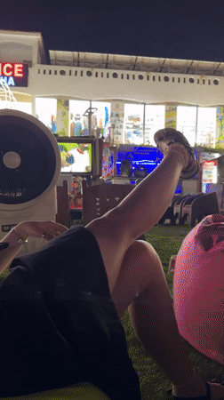 Late-night lounge vibes in Egypt, dogs and hookah included