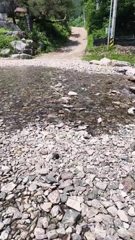A shallow, clear stream flows over a bed of small, smooth rocks. On the left bank, large, grey rocks are piled near some greenery, and further up the bank, a path can be seen winding upwards. The stream is about waist-deep or less. A small, dark object, possibly a leaf or debris, floats in the water. The background is filled with lush green trees and hills under a bright blue sky.