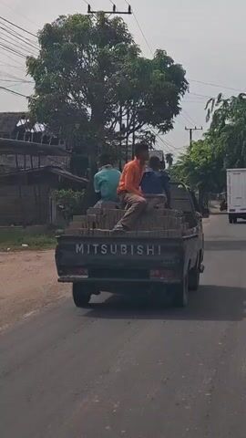 A Mitsubishi pickup truck is driving on a paved road. The truck bed is filled with bricks. Three people are riding in the truck bed, sitting on top of the bricks. The person in the middle is wearing an orange shirt and is looking to the left. The person to their left is wearing a blue shirt and is looking forward. The person to their right is wearing a light blue shirt and is looking to the left. There are trees and houses along the side of the road, and power lines are visible overhead. The sky is overcast. The truck appears to be in motion.