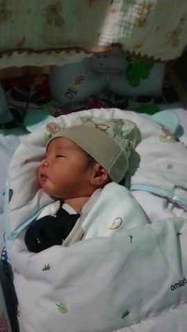 A newborn baby sleeps swaddled in a white blanket adorned with green leaf patterns, wearing a beige cap. The baby lies in a crib with plush toys and patterned bedding. Behind the baby's head, a gray felt letter board displays the name "ELNATHAN AHLANI" and the date "09 2023", accompanied by various decorative icons such as glasses, a star, cacti, a horse, and clouds. The crib's white railing and a turquoise wall are partially visible in the background.