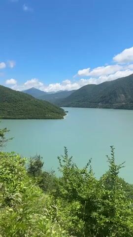 The video shows a scenic view of a large, turquoise lake surrounded by lush green mountains under a bright blue sky dotted with white clouds. In the foreground, there are green bushes and trees. The camera pans slowly across the landscape, capturing the expanse of the water and the rolling hills. No people or specific actions are visible.