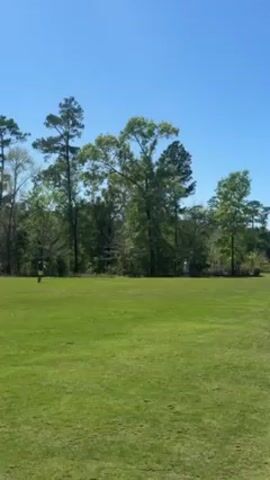 The video shows a wide, green, grassy field under a clear blue sky. A line of trees is visible along the back edge of the field. Initially, a single figure stands near the left edge of the field, but the person begins walking toward the right, moving further away from the camera. As the person walks, some brick-like structures become visible in the distance toward the right side of the field.