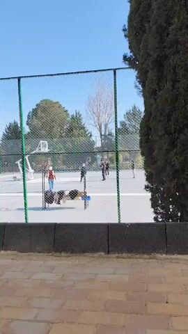 A slightly elevated view through a green chain link fence captures a group of people in an outdoor recreational area on a sunny day. In the foreground, a low, dark wall is visible. Beyond the fence, the ground is paved with a light grey surface marked with white lines, suggesting a court. Five individuals are present in this area. Four of them are dressed in dark colored outfits, and are positioned on the court. One individual is positioned on the perimeter and wears lighter colored clothing. One person is engaged in throwing a ball. A wheeled cart is situated just inside the fence, holding miscellaneous items including a blue towel. The background features a mix of green trees and a bare tree, against a clear blue sky. The scene has a casual, recreational atmosphere.