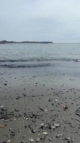 The video shows a low-angle, vertical shot of a beach with gentle waves lapping at the shore. The sand is dark and speckled with small pebbles and shell fragments. In the distance, a rocky outcropping extends into the calm, gray water. The sky is overcast, with light clouds. The water appears still and shallow near the shore, with small ripples as the waves recede. The overall mood is serene and naturalistic.
