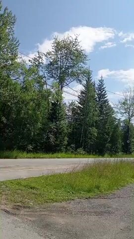 The video shows a scenic view of a rural road on a sunny day. Tall trees line the left side of the road, with a grassy area in the foreground. The road appears to be paved and curves slightly to the right. In the background, there are more trees and rolling hills under a blue sky with white clouds. A utility pole with wires runs along the right side of the road. The sun is shining brightly, casting shadows. The overall impression is one of a peaceful, natural setting.