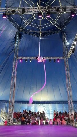 A solo aerialist performs on pink silks suspended from a circus tent ceiling. The performer, wearing a light-colored costume with shimmering accents, is seen executing a series of movements, including spins, poses, and inversions. The background is a blue tent interior with metal rigging and stage lighting, some of which are pink. A seated audience is visible in the lower portion of the frame, watching the performance.