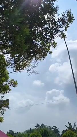 The video shows an airplane in the sky, flying towards the viewer. The airplane is red and white. The sky is blue with some white clouds. There are trees in the foreground, and a street light is visible on the right side of the frame. The airplane is getting closer to the ground.
