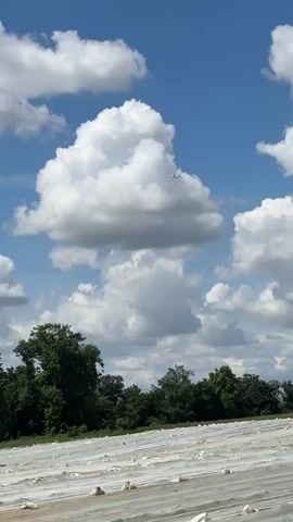 A low-angle, medium shot shows an airplane flying through a blue sky partially covered with puffy white cumulus clouds. In the foreground is a line of green trees and an open field covered with white plastic sheeting held down by small, white bundles. The camera pans slightly upwards, following the airplane as it flies through the clouds. The airplane is silhouetted against the bright clouds.