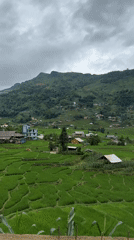 Terraced rice fields and hillside village views in Tả Van