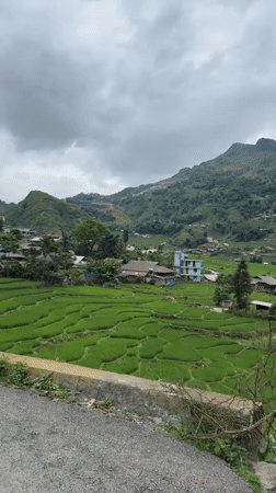 Terraced rice fields and hillside village views in Tả Van