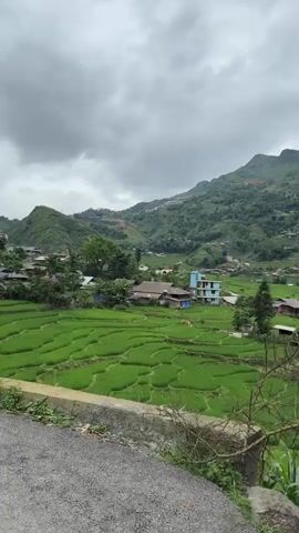 The video shows a scenic view of a rural landscape with lush green terraced rice fields. Rolling hills covered in vegetation form the backdrop, with a cloudy sky overhead. Several small buildings and houses are scattered throughout the landscape, some appearing to be residential. The rice fields are intricately patterned, suggesting a traditional agricultural practice. In the foreground, a dirt or gravel path is visible, with some greenery growing along its edge. The overall impression is one of a peaceful, natural environment, likely in a mountainous or hilly region. There are no people visible in the video.