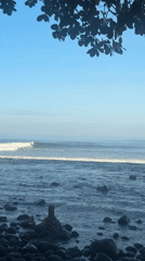 Clear day coastal scene captured with waves, vegetation, buildings