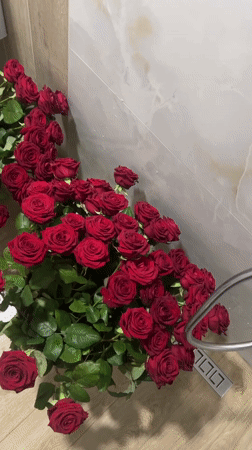 Large rose bundles arranged indoors in Zlatograd, Bulgaria