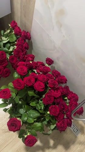 Large rose bundles arranged indoors in Zlatograd, Bulgaria
