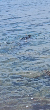 A morning of water activities along Dyurso's Black Sea shore