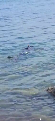 A morning of water activities along Dyurso's Black Sea shore