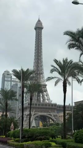 The video shows a replica of the Eiffel Tower in front of a grey sky. There are several palm trees between the camera and the tower, and taller buildings are visible in the background.  The camera moves slightly.