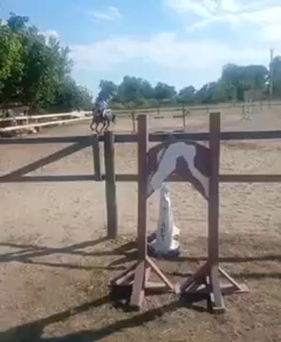 A horse and rider practice show jumping in an outdoor arena. The horse approaches a jump decorated with a brown and white horse head cutout. The horse jumps over the obstacle, and the rider, wearing a white helmet and white riding attire, remains seated. The arena has a sandy surface and is enclosed by wooden fencing. In the background, more jumps and trees are visible under a bright, partly cloudy sky.