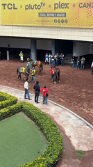 Pre-race horse parade observed at Mexico City racetrack