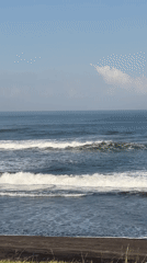 Morning yoga session documented along Indonesian coastline in Bali