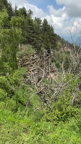 This is a vertical video of a scenic mountainous landscape. The foreground is dominated by lush green vegetation, including bushes and trees. A prominent, bare, dead tree with intricate branches stands in the middle ground, its stark form contrasting with the vibrant greenery.

Beyond the immediate foliage, the video reveals a steep, rocky cliff face dotted with trees. Further in the distance, a valley unfolds, carved by a winding river. Nestled within the valley is a small town or village, its buildings appearing as clusters of white dots. The valley is surrounded by rolling green hills and mountains that recede into the hazy distance.

The sky is partly cloudy, with large white cumulus clouds drifting against a bright blue background, suggesting daytime. The overall mood is peaceful and expansive, showcasing the natural beauty of the mountainous terrain. There is no visible text in the video. The location is identified as Nizhnyaya Teberda, Russia. The activity taking place is a slow pan or camera movement revealing the expansive vista.