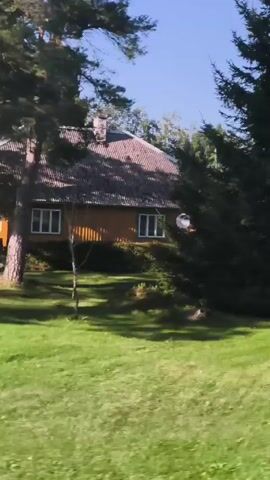 The video pans across a grassy area with scattered trees. In the foreground, a pine tree with a thick trunk is visible on the left. Further into the scene, there are more trees, some with dense foliage, and a small building with a yellow exterior and a brown roof is partially visible among the trees. A sign with text is propped up on the grass. In the distance, more trees and greenery can be seen under a clear blue sky. The overall impression is of a park or a rural landscape on a sunny day.