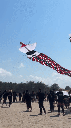 Colorful kite festival draws crowds to a sunny beach