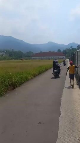 The video depicts a rural scene on a sunny day. A young child, wearing a yellow shirt, dark shorts, and a pink hat, walks along a concrete path next to a tall, gray concrete wall. To the left of the path is a large field of tall grass, likely a rice paddy. In the distance, a long, low building with a red roof is visible. Further in the background, rolling hills and mountains rise up against a bright sky. Several motorbikes are seen driving down the asphalt road that runs parallel to the path and field. The camera is static, positioned behind the child, and offers a clear view of the landscape.