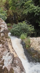 Morning waterfall ecosystem documented in Da Lat, Vietnam