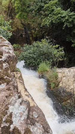 Morning waterfall ecosystem documented in Da Lat, Vietnam
