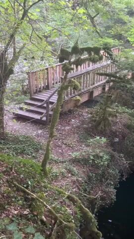 A wooden bridge spans a gorge with dark green water below. Trees covered in moss surround the bridge and the gorge. The bridge has wooden railings and stairs leading up to it. Leaves are scattered on the ground near the bridge. The video is shaky and moves from side to side, showing different angles of the scene.