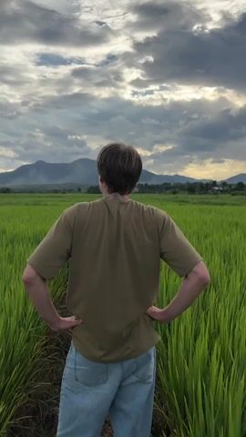 A person stands in a field of green rice stalks, facing away from the camera and looking towards a mountain range in the distance. The sky is cloudy with patches of blue. The person is wearing a brown t-shirt and blue jeans. Their hands are on their hips. The video is shot from a slightly low angle.