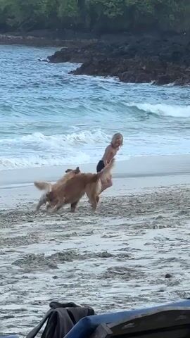 A blond-haired boy runs on a sandy beach with two golden retriever dogs. The boy is wearing black shorts. The dogs are running alongside him. In the background, waves crash on a rocky shore, and lush green trees are visible. Part of a person's legs are visible in the lower right foreground, lying on the sand.