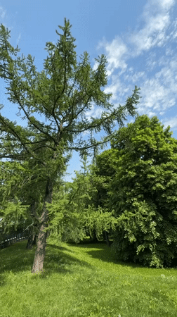 Ordinary moments documented across Khimki in two-minute span
