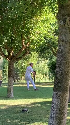 A person in white clothing and a hat is performing a form of martial arts or tai chi in a grassy yard. The person is on the right side of the frame, facing left, with their arms extended and hands in a striking or defensive pose. The yard is surrounded by trees and foliage, with sunlight dappling through the leaves. The person's movements are fluid and deliberate, suggesting a practiced routine. There is a small, dark object lying on the grass in the foreground, possibly a rock or debris. The scene is peaceful and natural, with the person appearing to be alone and engaged in a solitary practice.